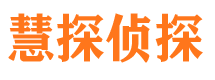 铁力侦探公司